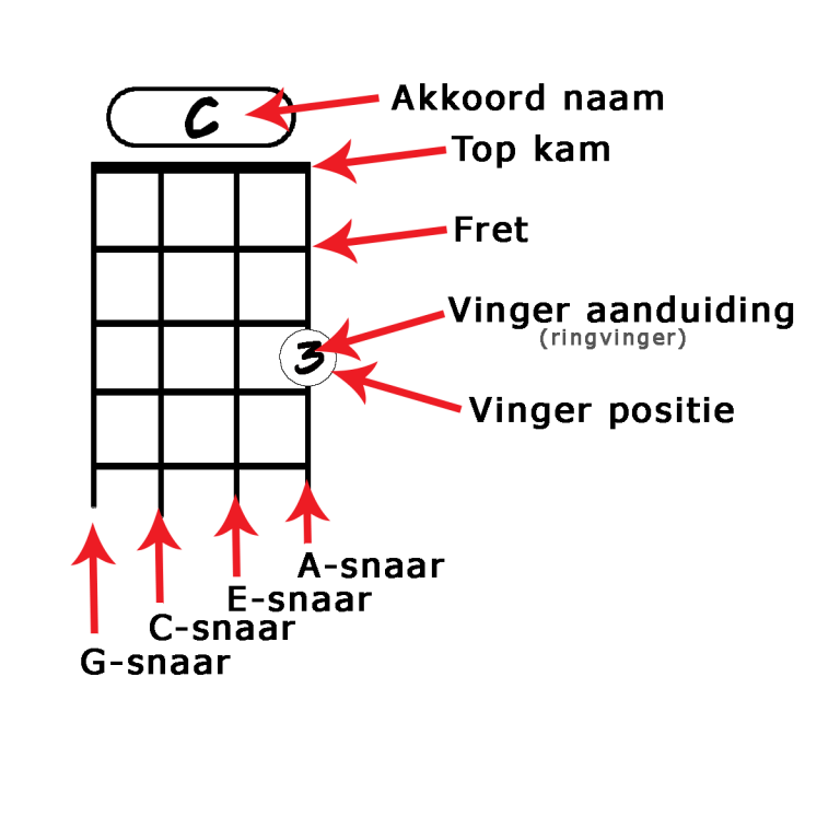 Ukelele akkoorden Muziekfactory